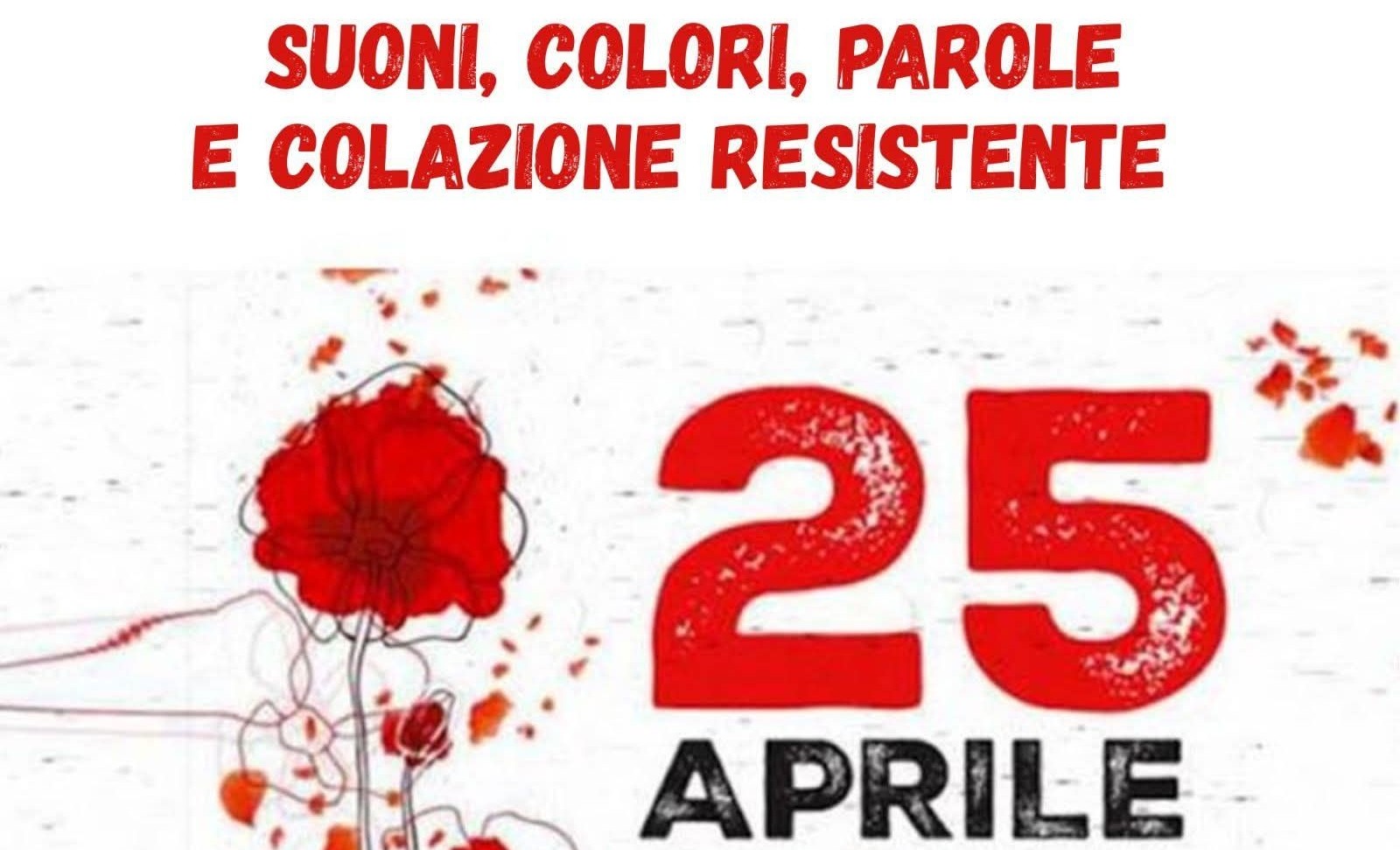 2026 04 25 81 lib 80 voto donne e costituente 