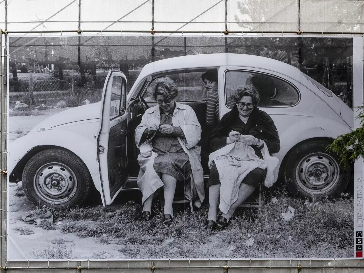 2022 02 07 meraviglioso reale f. zoccoli 9